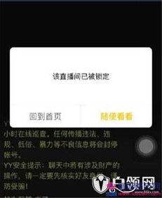 爆哥爆料视频网页,视频网页幕后故事大起底  第3张