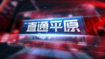 新乡今日爆料新闻直播回放,直播回放揭示最新热点事件  第2张